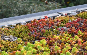the cost of Brigg green roof installation