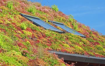 Brigg living roof systems