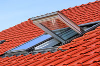 Brigg roof window